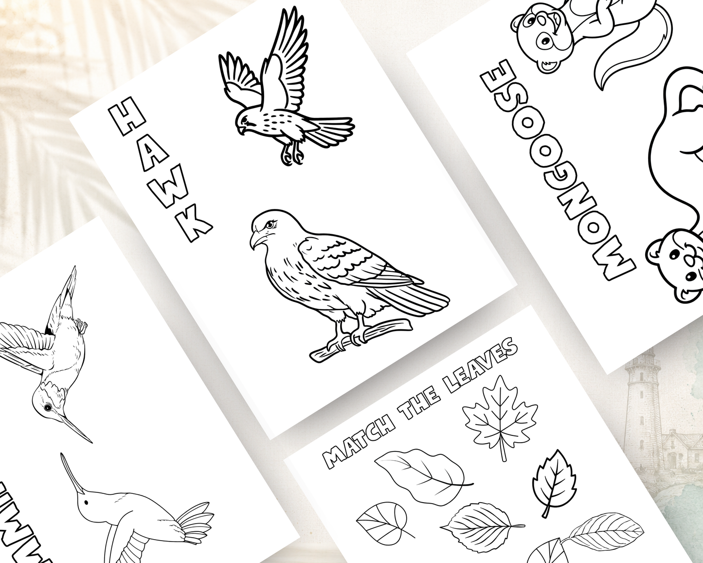 Forest Friends Activity Book for Kids | Printable PDF Download