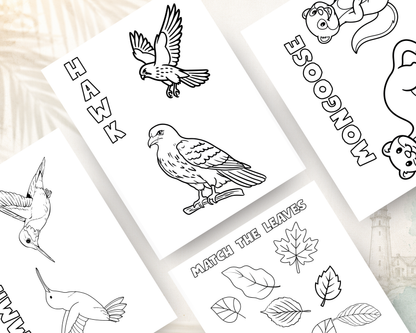 Forest Friends Activity Book for Kids | Printable PDF Download